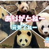 はじめましてさようなら～浜家母娘ちゃんたちと最初で最後のご対面