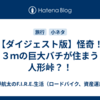 【ダイジェスト版】怪奇！　３ｍの巨大バチが住まう人形峠？！