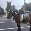 今週あったこと