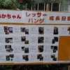 テスト勉強よりも大切な物がそこにはある！…かもしれないし、ないかもしれない…(;・∀・)