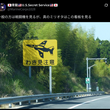 『お前が次に吐く台詞は 『この看板の機体はT-4練習機ブルーインパルス仕様だ』 と言うッ！』の事。