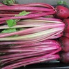 今週の野菜