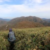 雨乞岳のぼったった③[完]鈴鹿山脈ビューのルートで下山！（2020年11月）