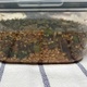 薬味醤油麴を初めて作ってみました、今夏3回目