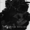 Kanashimi：[Romantic Suicide]