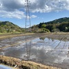 【田舎の風物詩】カエルの合唱と雨の日