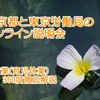 東京都と東京労働局のオンライン説明会～育業(育児休業)360度徹底解説