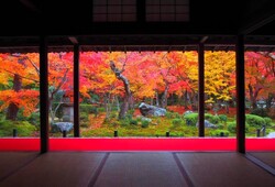 京都旅行は「予約」が肝心～要予約・予約推奨施設まとめマップ付～