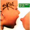 SKIN / BIG FAT SLICE OF LIFE. 