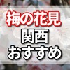 花見で梅は大阪城公園の梅園だけでない　関西の梅が綺麗なところ15選