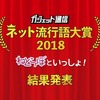 【VR】「ネット流行語大賞2018」のグランプリは「バーチャルYouTuber／VTuber」でしたね！