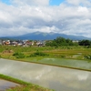 きょうの安達太良（薔薇は雨がキライ・・・？）