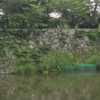 オニバスは気難し屋