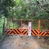 朝に見つけた台風の爪痕と秋の始まり