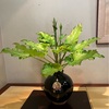 機械化小隊