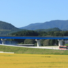 実りのBRT沿線を訪ねる (3)本吉駅・陸前小泉駅