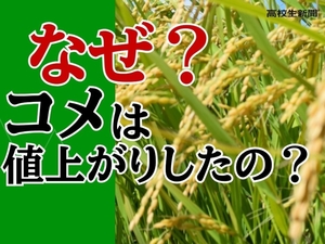 【解説】コメはなぜ値上がりした？ 「犯人捜し」の前に知りたい「繊細なバランス」