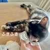 食後のあごふきふきタイム。