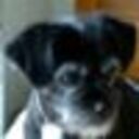 稲作養蚕:Inasaku Yousan