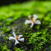 まさに苔色：千巖渓