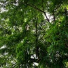 【失礼なこと供養】南無南無。。。