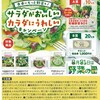 【懸賞情報】サミット×サラダクラブ 食卓にもっと野菜を！サラダがおいしいカラダにうれしいキャンペーン