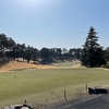 ゴルフというスポーツ⛳