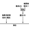 中野さんちの梅真珠