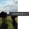 2024年12月のタイトル画像
