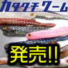 【一誠】バス釣りでも活躍！中層スイミングなどで威力を発揮「カタクチワーム」発売！