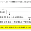 縄文ノート140　イモ食進化説―ヤムイモ・タロイモからの人類誕生