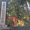 神社百選-102-箱根神社　2019/1/13