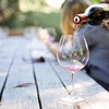 【実験結果】赤ワインを手軽にランクアップ！デキャンティング・ポワラー利用の勧め