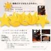 プロによるコンサート決定