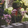 旅前に。。。（2025.04.19）Ⅱ