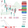 日経225   4月6日までの値動き チャート解説