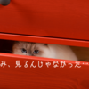 なぜ他人のブログ収益を調べると100%落ちこむのか？