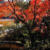 臥龍山荘の紅葉