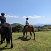 鹿児島、霧島アート牧場での乗馬体験。天気が良ければ桜島まで見える景色の中で初心者なのに楽しめました