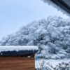 帳尻合わせの大雪