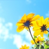 【63/100】あと５日で通院。