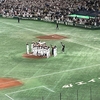 アジアプロ野球チャンピオンシップ　侍ジャパンが韓国を破り連覇、井端弘和監督胴上げ　MVP門脇誠　首位打者森下翔太　ベストナイン隅田知一郎、門脇、佐藤輝明、森下、万波中正