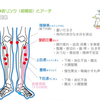 シリーズ痛い原因のカラダの使い方を知ろう：スネ編