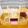 【DIY】猫トイレカバー＆キャットタワーを自作したよ！