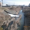 大堀川の水質調査