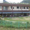 段ボール運搬　ブルーベリーの挿し木
