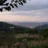 猫空　「邀月茶坊」