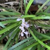要支援の友達