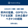 欧州の猛暑、GDPを1％押し下げる試算　日本企業が見るべき4つの経路