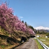 小川村のち白馬の絶景ライド